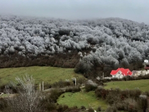 شهر نمونه گردشگری در مازندران در محاصره چهار دیوار ضدگردشگری؛بهشت ایران یا جنگل ویلا؟